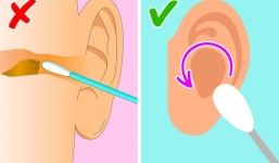 7 bức tranh tiết lộ những bộ phận đang được làm sạch sai cách mà ai cũng mắc