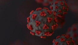 Phát hiện chấn động về họ hàng của SARS-CoV-2 tại Campuchia