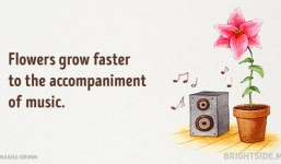 20 sự thật nực cười không phải ai cũng biết