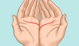 3 bức tranh đường tình duyên tiết lộ con người thật của bạn