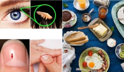 21 sự thật ấn tượng về cơ thể con người chắc chắn bạn chưa được học ở trường