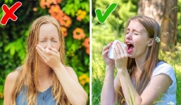 Cắn hướng dương và 12 sai lầm tưởng chừng tai hại vô số người mắc