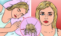 Gấp chăn màn ngay sau khi thức dậy: Tưởng là thói quen tốt nhưng lại gây hại khôn lường