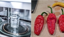 7 loại thực phẩm bỏ vào lò vi sóng khiến bạn phải khóc thét