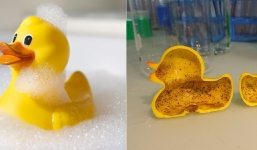 Bí mật bên trong vịt cao su - món đồ chơi quốc dân khiến phụ huynh tá hỏa