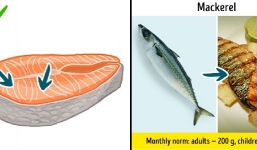 9 loại cá không nên ăn kẻo rước họa vào người