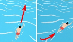 Cách trốn cá sấu và 8 bí kíp sinh tồn không được học tại trường