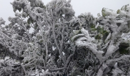 Dự báo thời tiết ngày 3/1: Bắc Bộ rét, rét đậm