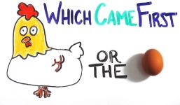 Quả trứng hay con gà có trước và loạt câu đố chỉ mất 10s để trả lời