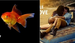 Những điều hiển nhiên xảy ra trên Trái đất chỉ trong một ngày gây ngỡ ngàng