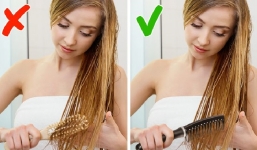 7 sai lầm khi chải tóc có thể hủy hoại mái tóc óng mượt của bạn