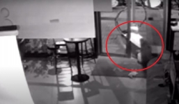 Chui qua khe cửa vào khoắng đồ, tên trộm muối mặt vì bị mắc kẹt rồi ngủ quên