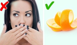 7 món giữ hơi thở thơm mát giúp bạn tự tin có sẵn trong nhà 