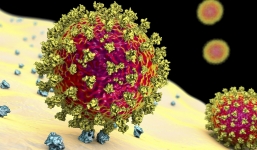 Cách phòng tránh Covid-19 biến chủng mới