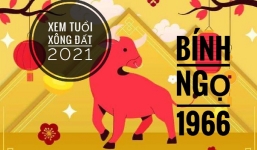 Xem tuổi xông đất năm 2021 cho gia chủ tuổi Bính Ngọ 1966