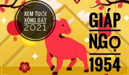 Xem tuổi xông đất năm 2021 cho gia chủ tuổi Giáp Ngọ 1954