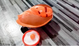 Tài xế cắn phải viên ngọc trai 8 tỷ đồng khi ăn ốc luộc