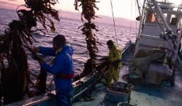 Fukushima hồi sinh sau động đất sóng thần 2011