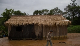 Covid-19 đã xóa sổ một bộ tộc trong rừng Amazon