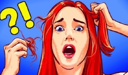 7 thói quen khiến tóc gãy rụng, xơ rối dù bạn có dùng dầu gội tiền triệu