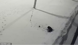 Clip bé trai 5 tuổi rơi từ tầng 12 sống sót kỳ diệu