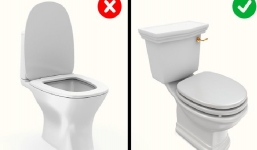 10 thói quen nhiều người tưởng tốt hóa ra sai lầm, trong đó tự ngoáy tai đứng đầu