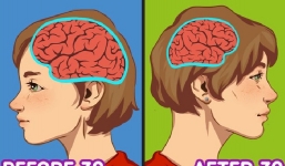 Sau 30 tuổi: Não nhỏ lại và bạn sẽ cảm thấy hạnh phúc hơn