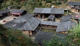 Ngôi làng gần 100 năm không một bóng muỗi, người dân tin có 'cóc thần' bảo hộ