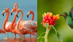 Chỉ những người tinh tường mới phát hiện ra điều ẩn giấu trong 10s