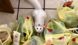 10 thứ vụn vặt khiến bạn không thể tiết kiệm tiền 