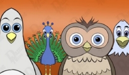 Bồ câu, cú, công, đại bàng: Loài chim yêu thích tiết lộ tính cách của bạn