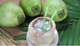 Tại sao quả dừa kín bưng lại có nước bên trong?