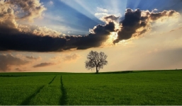 Bầu trời yêu thích sẽ tiết lộ tính cách tiềm ẩn của bạn