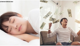 Việc nhẹ lương cao: Ngủ trưa trong 30 ngày nhận ngay 1.500 USD