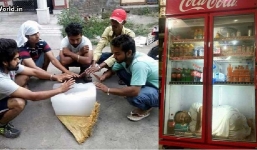 Những ý tưởng hài hước để sống sót qua mùa hè 