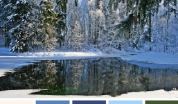 Bài test màu sắc giúp bạn biết mình là em bé ngây thơ hay cụ non từng trải