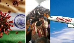 Cặp đôi thuê máy bay, tổ chức lễ cưới trên trời để trốn quy định phòng dịch