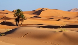 Bài trắc nghiệm tính cách 5 phút của người Nhật khiến bạn phải kinh ngạc