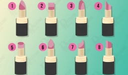 Hình dạng thỏi son quen thuộc bật mí con người thật của bạn