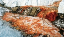 Sự thật dòng Thác Máu tuôn trào trên sông băng ở Nam Cực