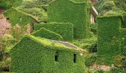 Nếu loài người ngủ 1.000 năm, thế giới sẽ do ai thống trị?