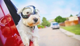 Cách làm mát ô tô nhanh nhất giữa những ngày hè nóng như chảo lửa