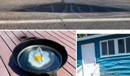 Nắng nóng làm chín trứng, nứt đường, phồng rộp nhà cửa tại Mỹ - Canada