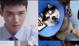 Cung Tuấn đi tiêm duyên hết phần thiên hạ, dân tình réo tên một nhân vật bất ngờ