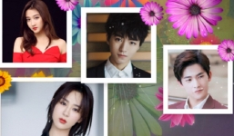 4 sao Cbiz được phát ‘kim bài miễn tử’, có thể kê cao gối ngủ giữa 'bão' thanh trừng