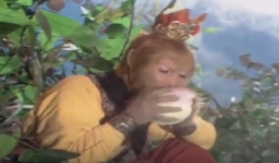 Tây Du Ký và Tôn Ngộ Không có màn ăn đào tiên lừa khán giả hơn 30 năm