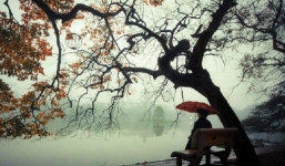 Bão số 7 chuyển mình, gió mùa đông bắc tràn về