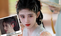 Cúc Tịnh Y hói trắng phớ trong Gia Nam Truyện