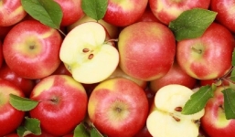 11 tác dụng phụ khi ăn táo hàng ngày, nghe xong ai cũng muốn mua ngay chục cân bỏ tủ ăn dần
