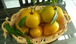 Loại quả bị người Việt ghẻ lạnh, lên Amazon đội giá 1,5 triệu/kg vì là siêu thực phẩm